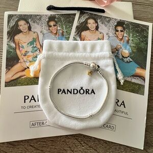 Pandora bracelet
